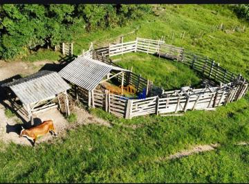 hnxk49y2owe3mmi4ywiynzi3_md · Fazenda 70 hectares com nascentes riachos pastagem curral 5km Angelina