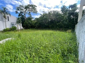TERRENO na Riviera · IMÓVEL PARA VENDA EM RIVIERA DE SÃO LOURENÇO - BERTIOGA *