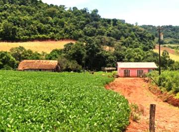 Rural , Perola Doeste · Área rural em Perola D'Oeste/PR com 7,76 alqueires / 18,78 hectares