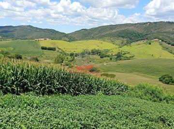 Fotografia em perspectiva de plantação de grãos em Três Corações, MG, mostrando as linhas de plantio que seguem o relevo da terra. O solo argiloso e a área mecanizável evidenciam o potencial agrícola da fazenda de dupla aptidão. · Fazenda 106ha em Três Corações MG | Dupla Aptidão e Café