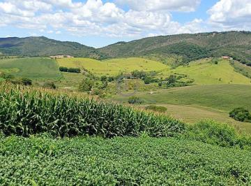 Fotografia em perspectiva de plantação de grãos em Três Corações, MG, mostrando as linhas de plantio que seguem o relevo da terra. O solo argiloso e a área mecanizável evidenciam o potencial agrícola da fazenda de dupla aptidão. · Fazenda 106ha em Três Corações MG | Dupla Aptidão e Café