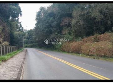 Terreno · 6600m² · Oportunidade Exclusiva para Investidores e Moradia - Campo Largo/PR Terreno Urbano
