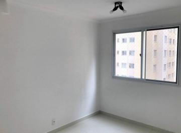 Apartamento · 41m² · 2 Quartos · Apartamento- 41m², Cambuci- São Paulo - SP