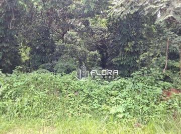 9d487ebb13a136391f39bc5e4ec976919cc90181 · Terreno à venda, 800 m² por R$ 250.000,00 - Itaocaia Valley (Itaipuaçu) - Maricá/RJ