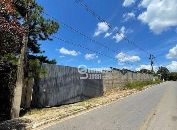 785915df2b485ef3321a91ab9e6ba907b33be511 · Terreno Rural para locação, Chácaras Rutina Strauss, Franco da Rocha - TE1255.