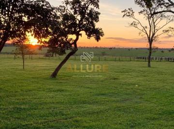 Rural · 3004m² · Ribas do Rio Pardo (MS)