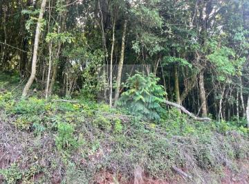 Foto 01 · Terreno 863m² Nova Petrópolis | São Jacó com Vista Panorâmica | Parcelamento Direto 36x