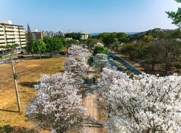 Apartamento de 3 quartos, Brasília · SQN 211, 100 m² reformado, 3 quartos , Suíte, elevador, vaga, salão de festas.