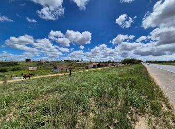 Terreno · 40000m² · Terreno para aluguel - em Maurício de Nassau