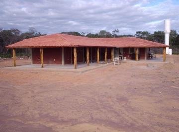 Rural , Bom Jesus · *Fazenda / Bom Jesus - Piauí*