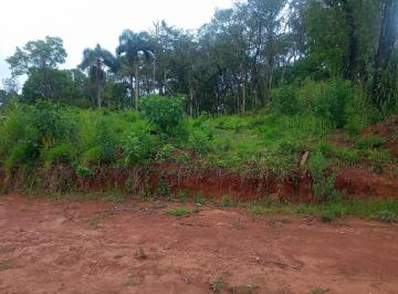 202603101226465338.jpg · Terreno para Venda em Ibiúna, Sorocamirim
