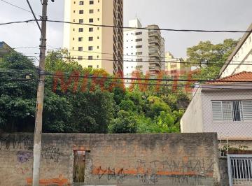 442e1a92c22362cc2970b8fc39c3f594.jpg · Terreno