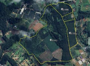 Imóvel Rural aprox. 68 ha (03 matrículas) - Capixinga - Mogi das Cruzes - SP - Foto [0] · Imóvel Rural aprox. 68 ha (03 matrículas) - Capixinga - Mogi das Cruzes - SP
