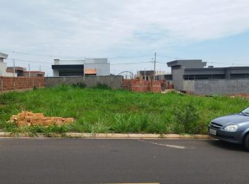 Foto 01 · Terreno Comercial à Venda em Bady Bassitt-SP  Bairro Bady Bassit  210,00m² de Área