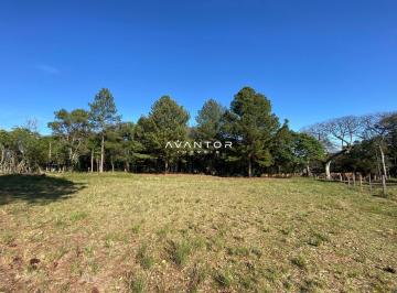 Terreno · 705m² · Terreno em Itaara