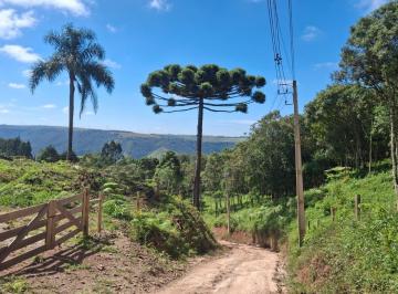Foto 01 · Area, São Luiz do Purunã, Balsa Nova, PR