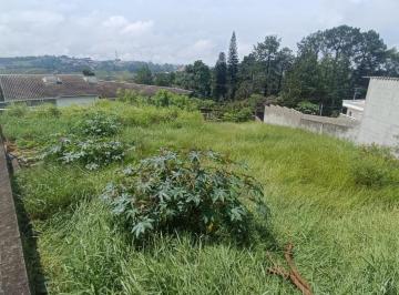 202603101815317898.jpeg · Terreno para Venda em Itaquaquecetuba, Jardim Rio Negro