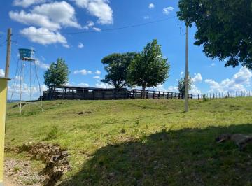 Foto 01 · Fazenda, Área Rural, Santiago, RS