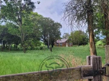 Foto 01 · Fazenda, Área Rural de Alegrete, Alegrete, RS