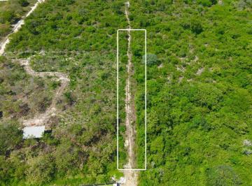 Terreno , Jijoca de Jericoacoara · Terreno de 560m² à Venda Próximo à Lagoa do Paraíso – Excelente Oportunidade