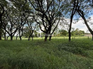 Terreno · 3245m² · Terreno á venda no Santa Rita