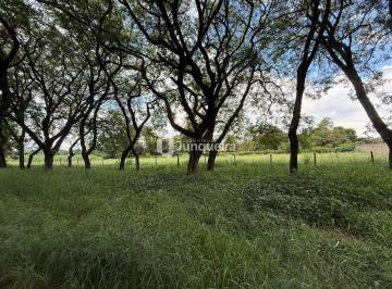 Terreno · 3245m² · Terreno á venda no Santa Rita