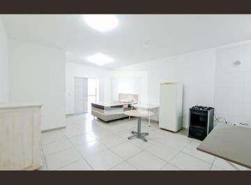 Apartamento · 30m² · 1 Quarto · Apartamento para Aluguel - Jardim Arapongas, 1 Quarto,  30 m² - Guarulhos