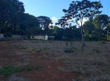 6119a2e494d9480c94704d0067132ccd.jpg · Rural para Venda em Uberlândia/MG - 4 Dorm. 133 m2 Área Útil