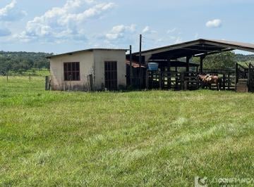 Imagem 1 · Fazenda para venda em Centro, Uberlândia