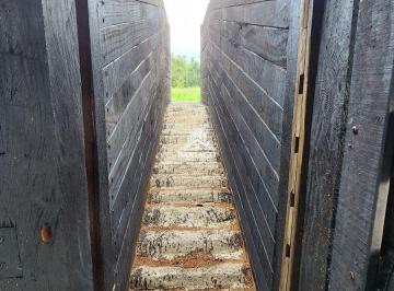Imagem 7 · Fazenda