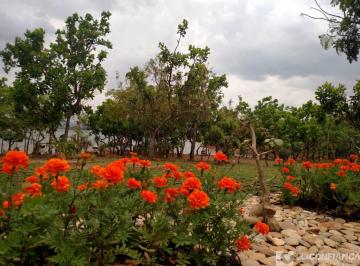 Imagem 1 · Fazenda