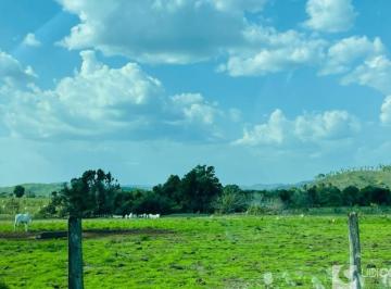 Imagem 1 · Fazenda