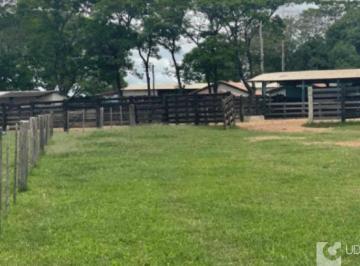 Imagem 1 · Fazenda