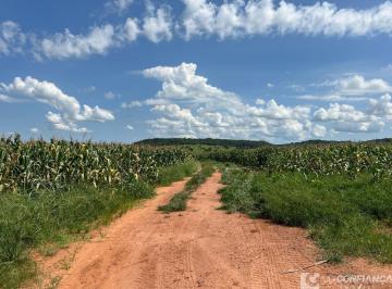 Imagem 1 · Fazenda