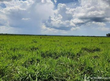 Imagem 1 · Fazenda