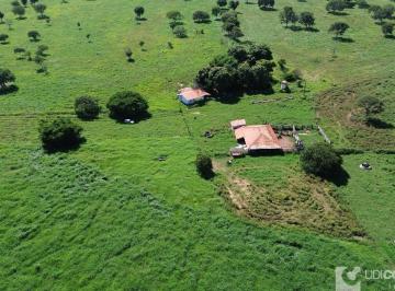 Imagem 1 · Fazenda