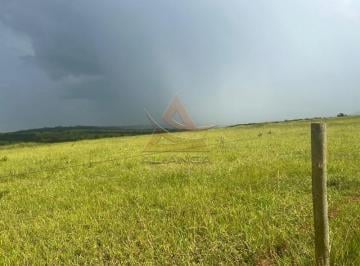 Imagem 1 · Fazenda