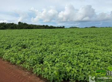 Imagem 1 · Fazenda