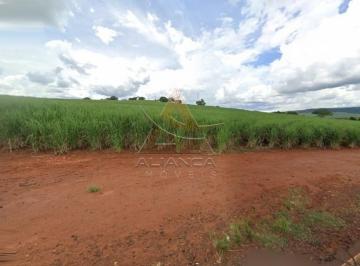 Imagem 1 · Fazenda