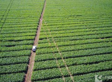 Imagem 1 · Fazenda