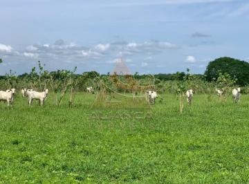 Imagem 1 · Fazenda