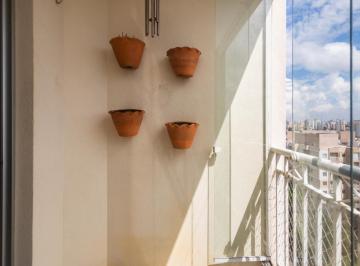 IMG_20260608_185751_000.jpeg · Sensacional apartamento para venda em Água Branca com 3 quartos, sendo 1 suíte, 65m² - theremaxcolle