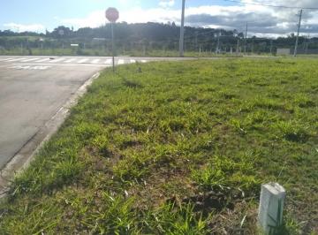 Terreno · 162m² · Oportunidade - Terreno Comercial - Jardim Pitangueiras - 162.62m²