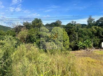Foto 01 · Terreno na Rodovia Nova Petrópolis-Gramado | 480m² | Alta Visibilidade e Fluxo