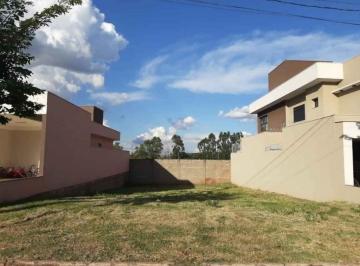 1773250345.jpeg · Otimo terreno no Vila Romana 1 | Aqui na Imobiliária Rosa e Rangel