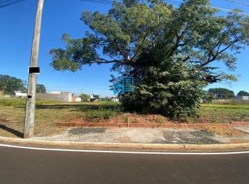 Foto 01 · Terreno à venda no bairro Parque Vila Nobre - São José do Rio Preto/SP