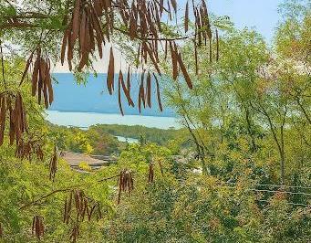 97c5b2b7f5a8f993aa810c13a05795fff19a7c2b · Terreno à venda, 450 m² por R$ 320.000,00 - Piratininga - Niterói/RJ