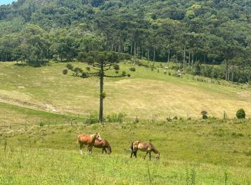 Foto 01 · Chacara, Rio Vermelho, São Bento do Sul, SC