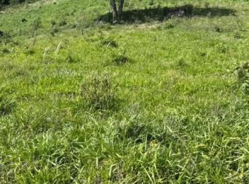202603111742221376.jpg · Fazenda para Venda em Reserva, rural, 3 dormitórios, 1 banheiro, 3 vagas