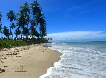 Apartamento à venda no CARNEIROS BEACH RESORT, CENTRO, Tamandaré, PE · Apartamento à venda no CARNEIROS BEACH RESORT, CENTRO, Tamandaré, PE